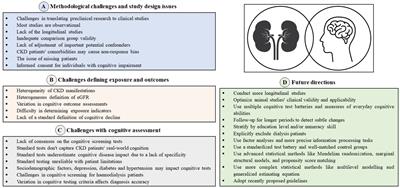 Methodological challenges and biases in the field of cognitive function among patients with chronic kidney disease